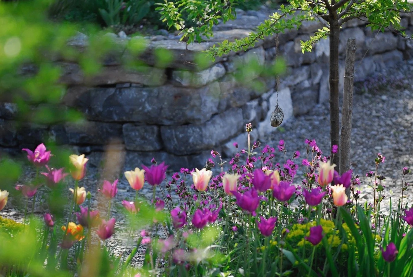 Mark Fetzer, Gartengestaltung · Interlaken BE