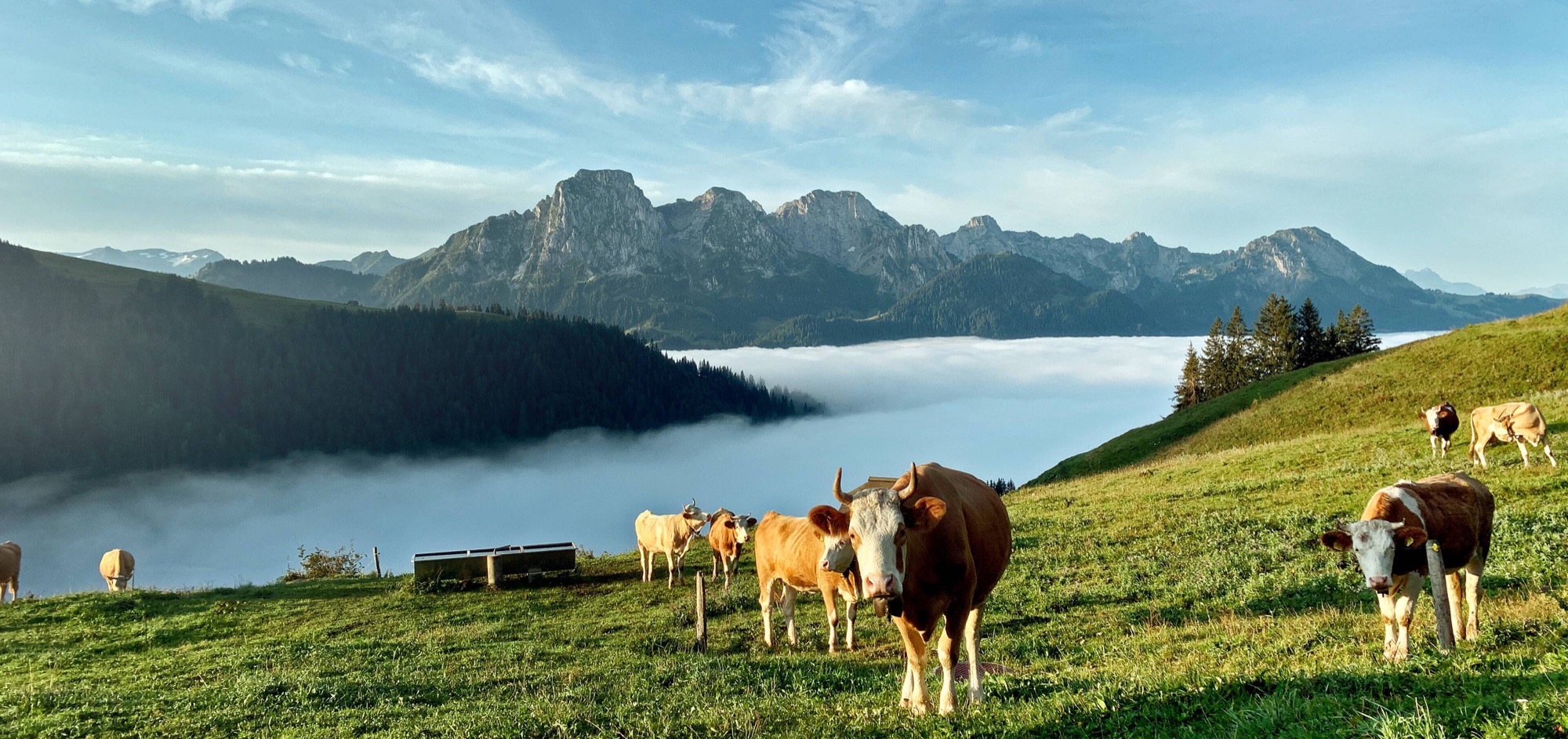 Muhof · Bergbauernhof · Gstaad BE