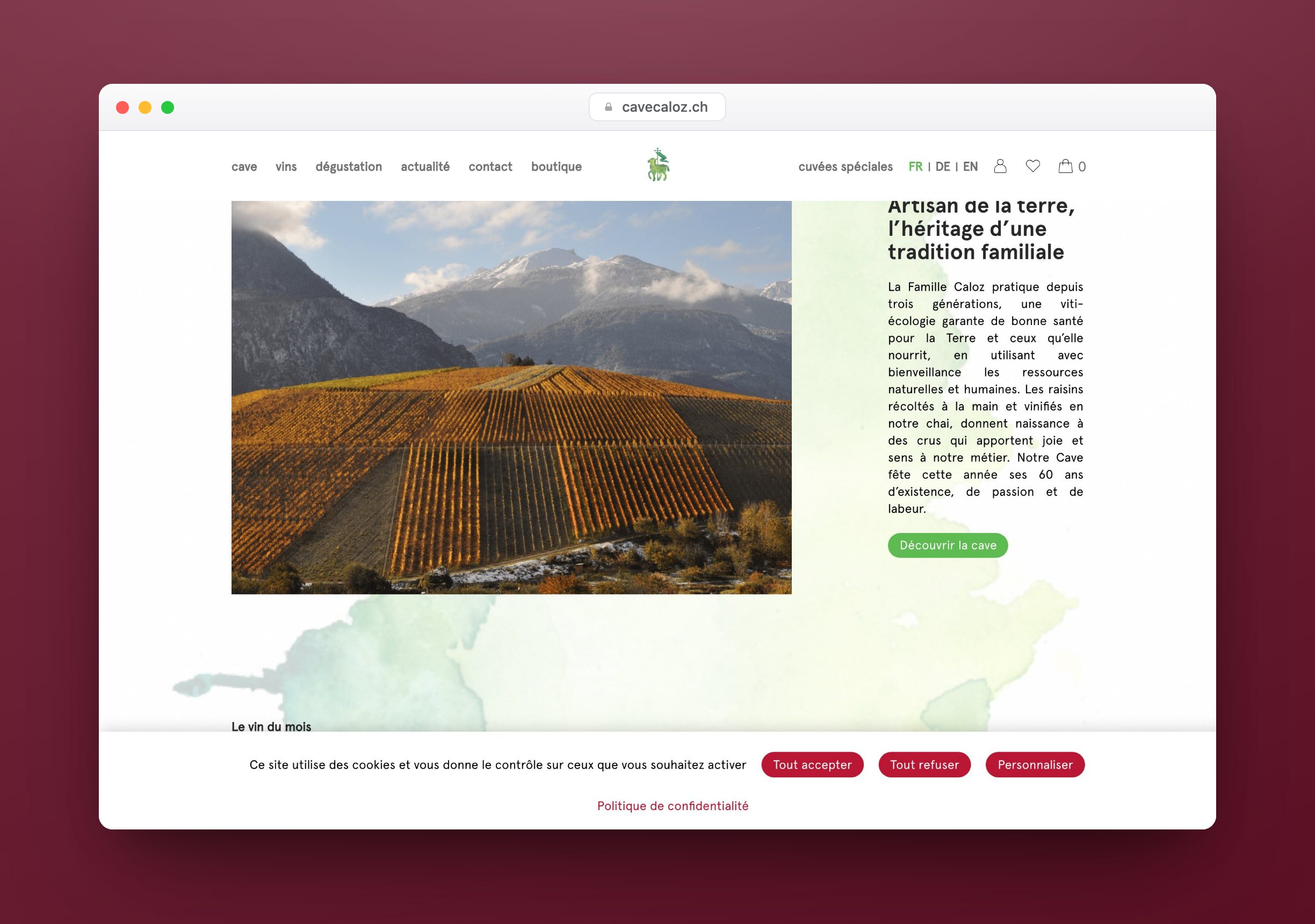 Cave Caloz, Website