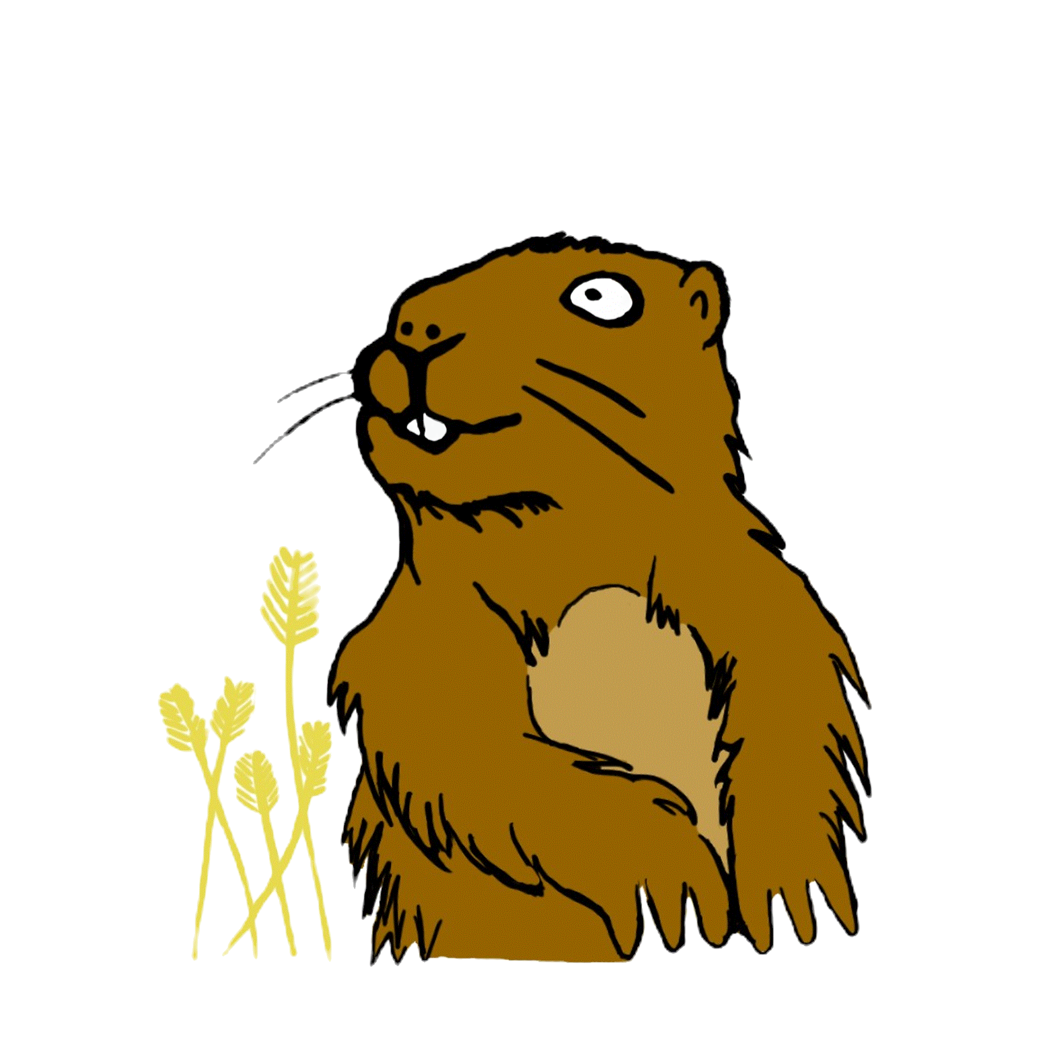 Marmot Cervisiam Logo